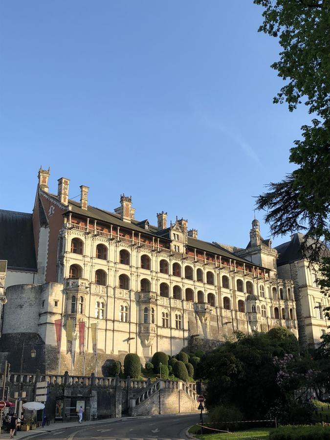 Logis Hotel Louise De Savoie 布鲁瓦 外观 照片