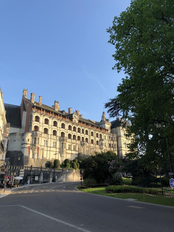 Logis Hotel Louise De Savoie 布鲁瓦 外观 照片